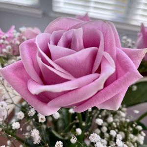 Meet your Posher, Griselda